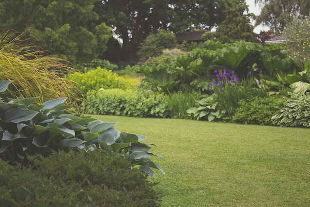 Duurzaam Tuinieren: Wat je Moet Weten om een Milieuvriendelijke Tuin te Onderhouden
